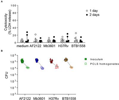 Mycobacterial Infection of Precision-Cut Lung Slices Reveals Type 1 Interferon Pathway Is Locally Induced by Mycobacterium bovis but Not M. tuberculosis in a Cattle Breed